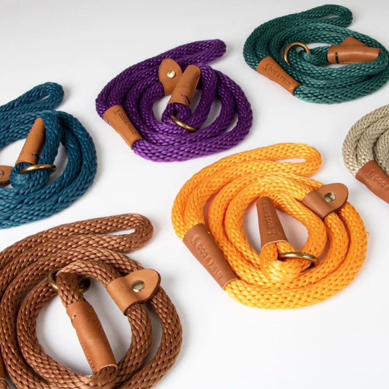 Dog And Field Woven Lux Slip Lead in Apricot-2